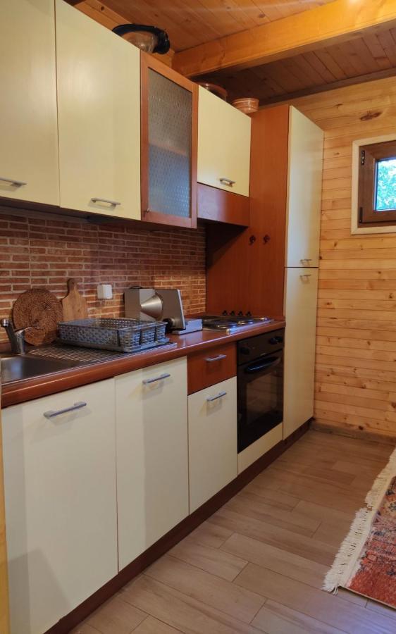 Guesthouse Mg Zabljak  Exterior photo